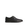Newman Oxford Dress Shoe