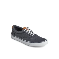 Striper II CVO Sneaker